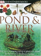 POND & RIVER (DK EYEWITNESS BOOKS) 2005 - 0756610850 - 9780756610852