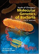 SNYDER & CHAMPNESS MOLECULAR GENETICS OF BACTERIA 5/E 2020 - 1555819753 - 9781555819750