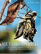 METAMORPHOSIS 2015 - 1408173751 - 9781408173756