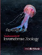 FUNDAMENTALS OF INVERTEBRATE ZOOLOGY: ANATOMY, PHYSIOLOGY, CLASSIFICATION & ECOLOGY 2025 -  - 9798316801763