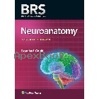 BRS: NEUROANATOMY 7/E 2024 - 1975214374 - 9781975214371