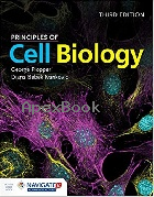 PRINCIPLES OF CELL BIOLOGY 3/E 2021 - 1284149846 - 9781284149845