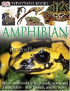 AMPHIBIAN 2005 - 0756613809 - 9780756613808