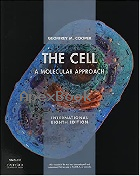 THE CELL:A MOLECULAR APPROACH 8/E 2020 - 1605358630 - 9781605358635