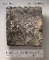 CULTURES & VALUES: A GLOBAL VIEW OF THE HUMANITIES, VOLUMES I & II 10/E 2025 - 035764008X