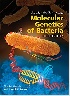 SNYDER & CHAMPNESS MOLECULAR GENETICS OF BACTERIA 5/E 2020 - 1555819753