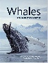 WHALES: THEIR BIOLOGY & BEHAVIOR 2017 - 1501716565