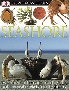 DK EW SEASHORE REVISED EDITION (DK EYEWITNESS BOOKS) 2004 - 0756607213