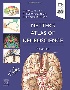 NETTER'S ATLAS OF NEUROSCIENCE 4/E 2022 - 0323756549