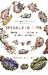 SPIRALS IN TIME: THE SECRET LIFE & CURIOUS AFTERLIFE OF SEASHELLS 2016 - 1472911385