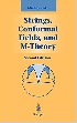 STRINGS, CONFORMAL FIELDS, & M-THEORY (GRADUATE TEXTS IN CONTEMPORARY PHYSICS) 2/E 2000 - 0387988920